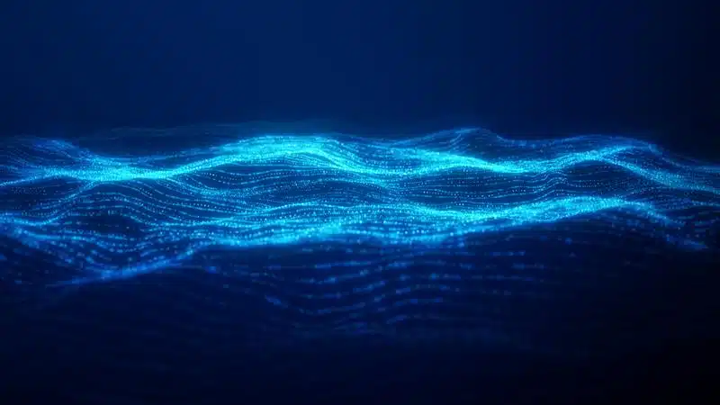Nuit blanche 2026 expo la mer la nuit