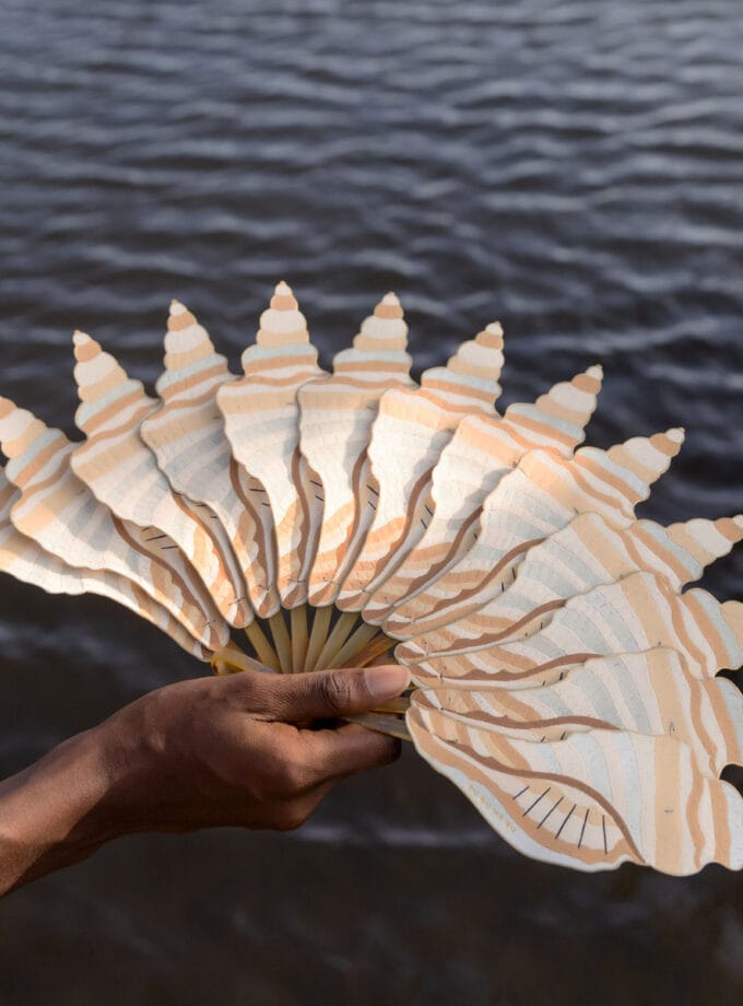 CONCH SHELL