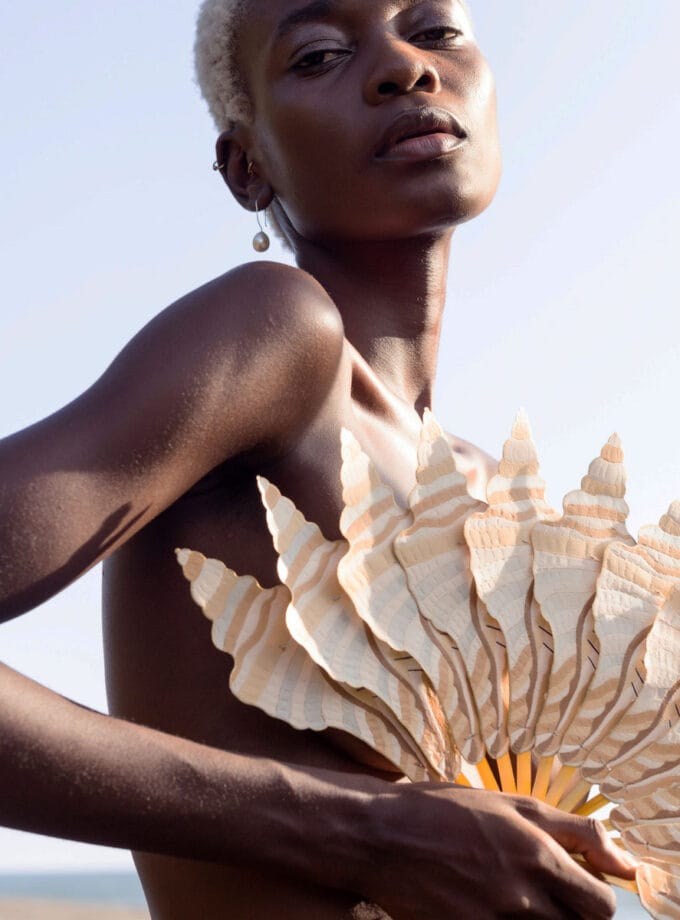 CONCH SHELL