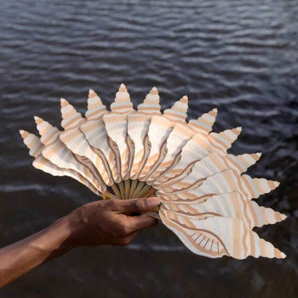 CONCH SHELL