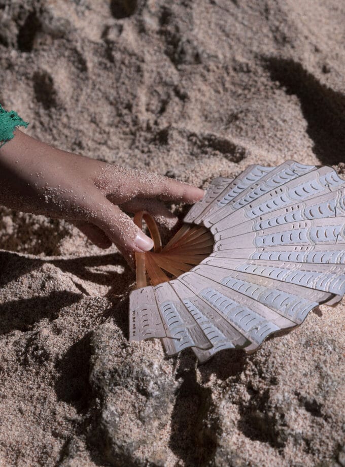 SCALLOP SHELL