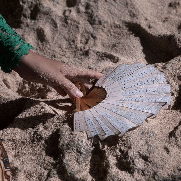 SCALLOP SHELL
